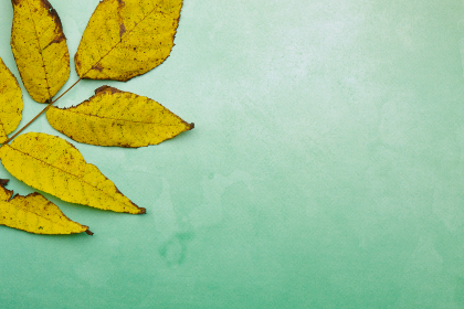 5月2日NBA东部焦点战：骑士vs猛龙直播对决精彩上演