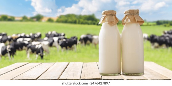 深度解析97娱乐：背后的商业模式与成功秘诀