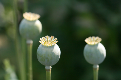 5月6号NBA焦点对决：火箭主场迎战马刺直播预告