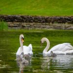 深度解析安博体育在全球市场中的竞争优势 9t7y1j2