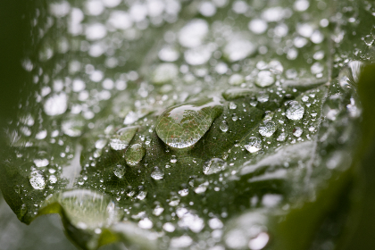 深度解析兰桂坊娱乐：从酒吧到夜店的全景体验