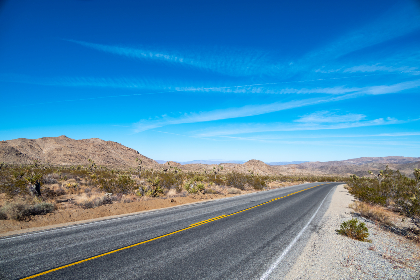 深入评析战神娱乐备用网址的稳定性与可访问性