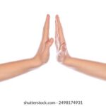 MBC高清直播:畅享精彩节目,尽在指尖 1snmyi