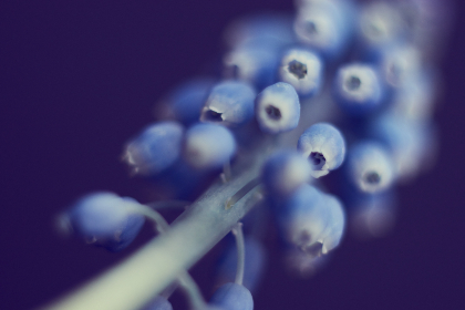 MTV中文频道官方高清直播在线观看入口 MTV中文频道官方高清直播在线观看入口